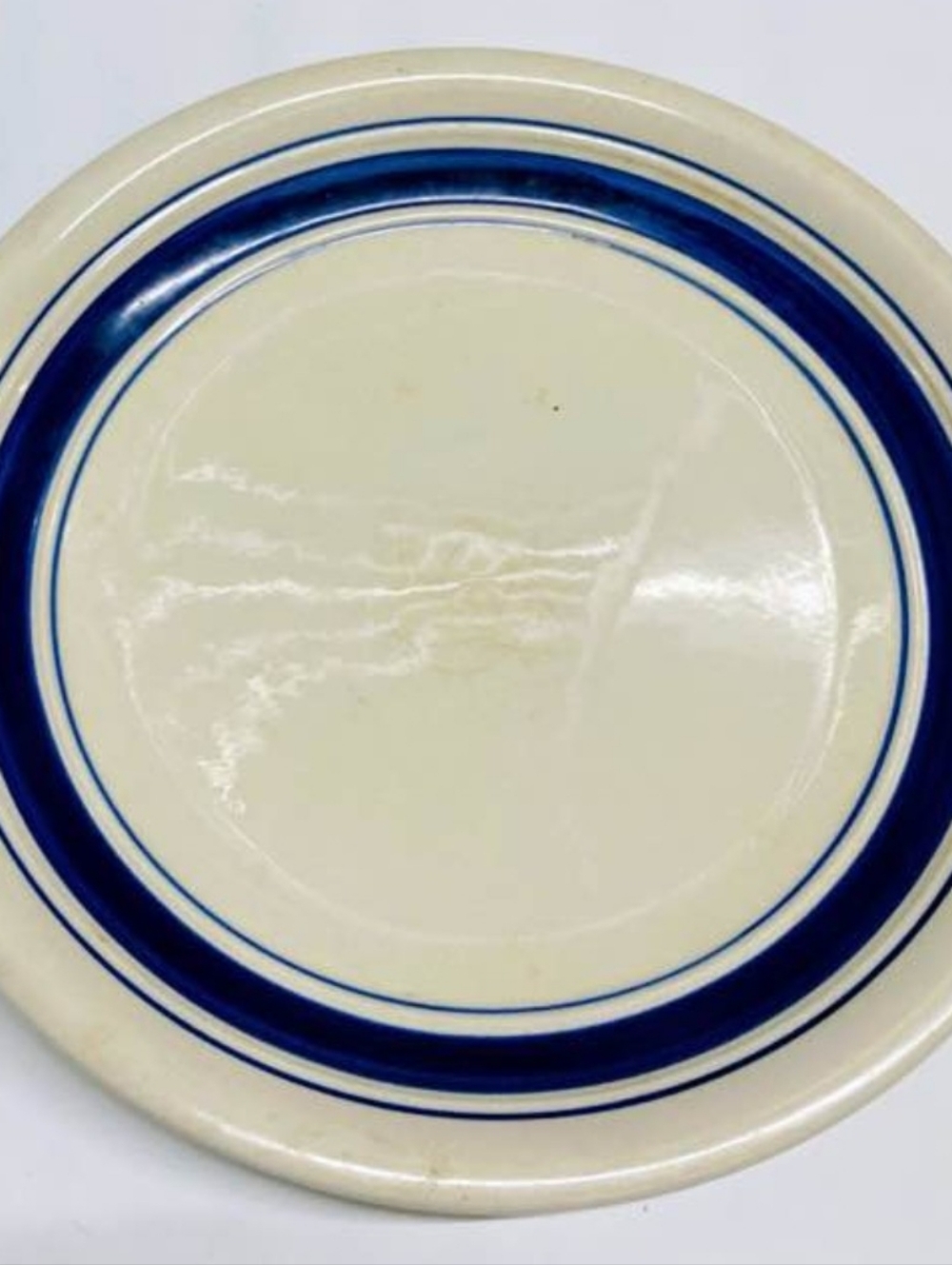 02-Elegant Blue and Cream Dinner Plates